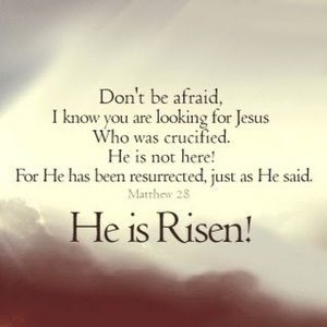 Meet your Posher, Darla